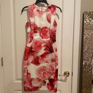 Floral Scuba Sleeveless Sheath Dress